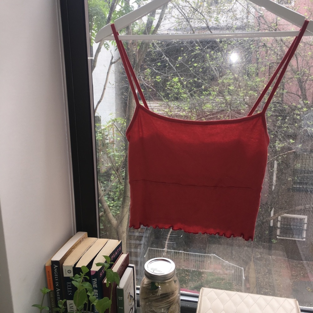 Brandy Melville Red Crop Top